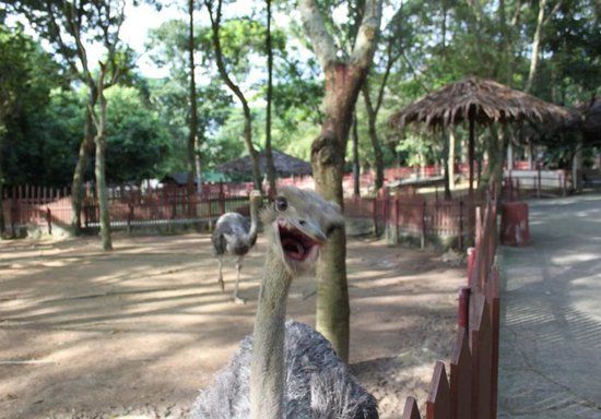 A'Famosa Animal World Safari